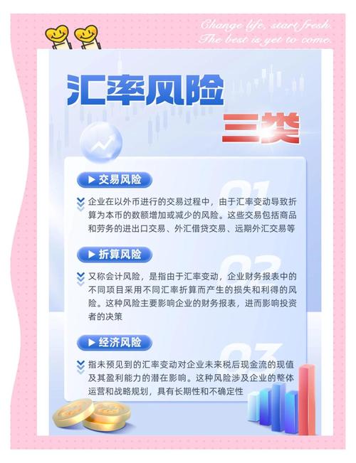 如何管理国家外汇储备的汇率风险？识别、策略与监测要点解析