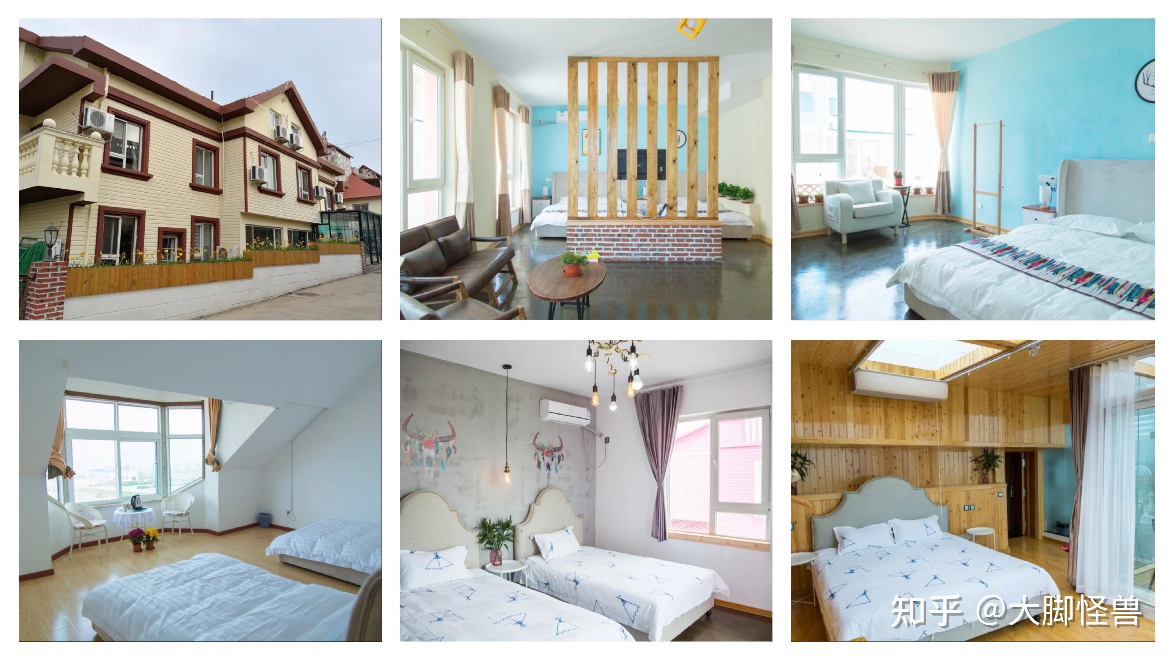 青岛啤酒股票价格预测_青岛开海时间_青岛啤酒节时间