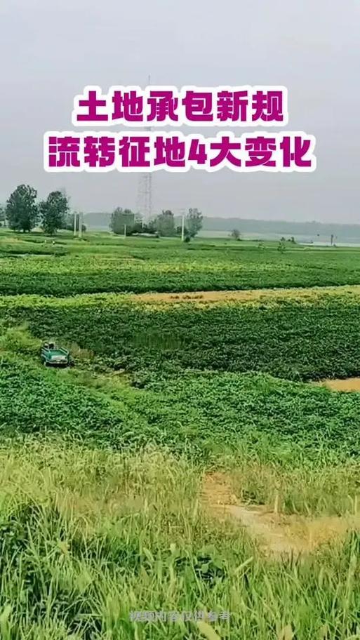 土地流转新规解读_一亩地现在能卖多少钱_2021年土地流转价格