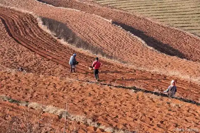 土地流转新规解读_2021年土地流转价格_一亩地现在能卖多少钱