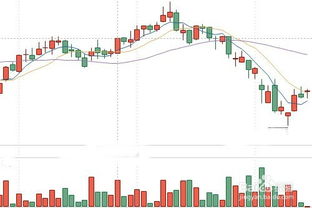 新手别怕！股票市盈率到底怎么看？一文说透静态和动态