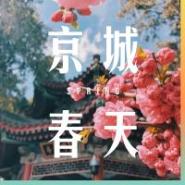 素饺子馅做法大全_小油菜饺子_饺子皮攻略
