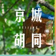 素饺子馅做法大全_饺子皮攻略_小油菜饺子