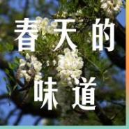 素饺子馅做法大全_小油菜饺子_饺子皮攻略