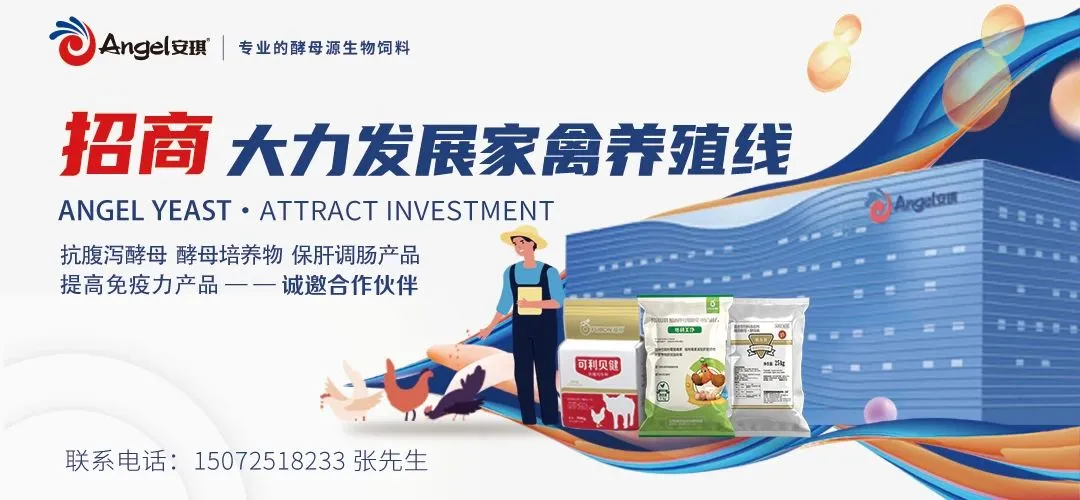 维生素上市公司有哪些_维生素上市企业2024年三季度业绩报告_浙江新和成前三季度净利润增长分析