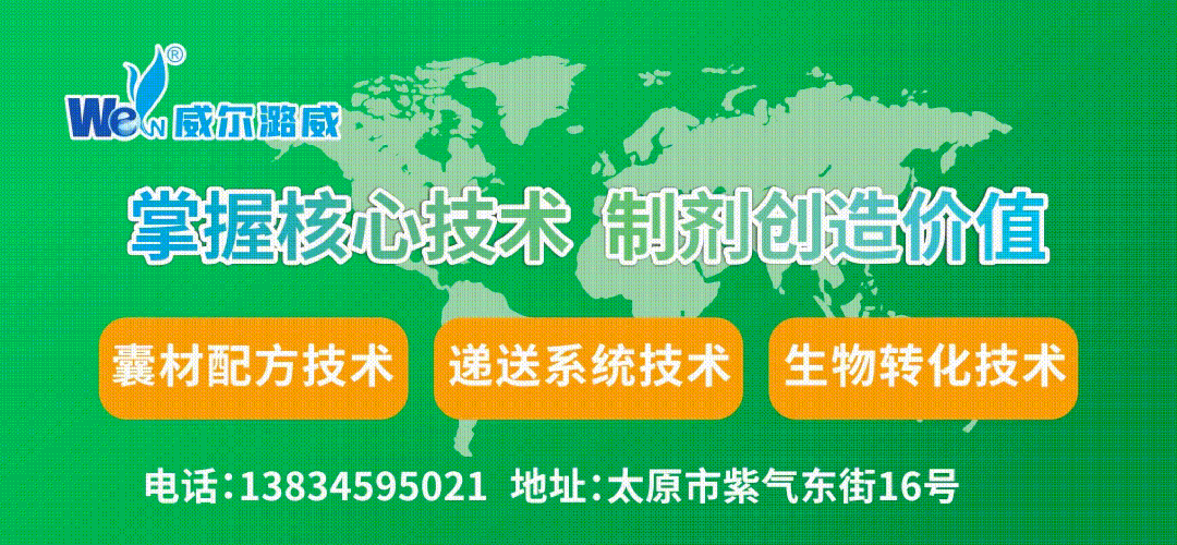 维生素上市企业2024年三季度业绩报告_浙江新和成前三季度净利润增长分析_维生素上市公司有哪些