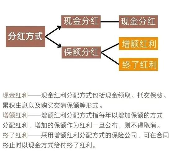 红利股与红利基金大不同：决策机制、风险特征有何差异？