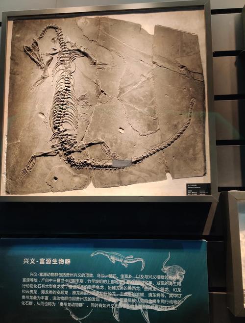 恐龙骨骼化石拍卖屡创新高，这些天价成交纪录你知道吗？