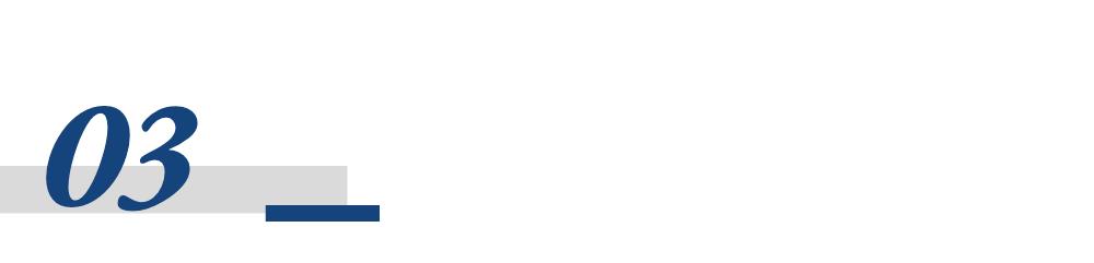 保险产品资产规划_终身寿险分红型_中国太平投资项目