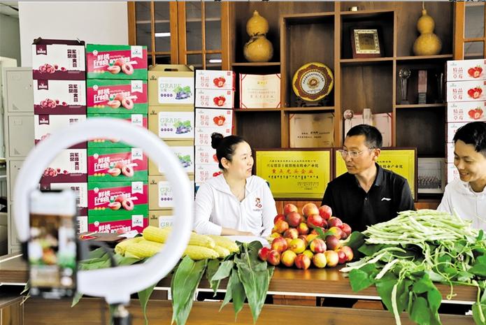 2023年农村做什么生意好？果蔬配送与直播带货是不错选择