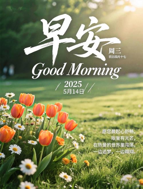 166006_缴纳城乡居民医保费_确认个税专项附加扣除