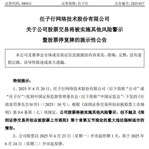 股票任子行_任子行信息披露违法处罚_任子行股票停牌风险警示