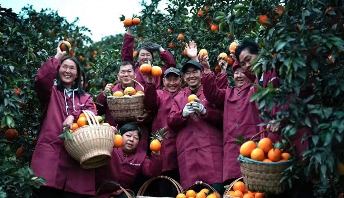 华夏银行三农金融服务_中国华夏银行2025年报_华夏银行乡村振兴信贷政策