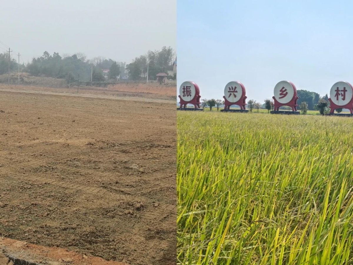 华夏银行乡村振兴信贷政策_华夏银行三农金融服务_中国华夏银行2025年报