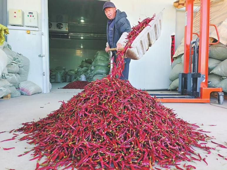 华夏银行三农金融服务_中国华夏银行2025年报_华夏银行乡村振兴信贷政策