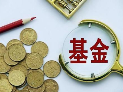 基金投顾试点机构展业_深圳地区基金投顾业务发展_股票基金公司