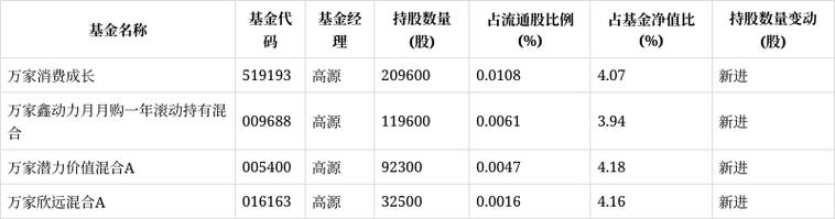 巨人网络股价分析_农银汇理基金重仓股_农银汇理中小盘股票