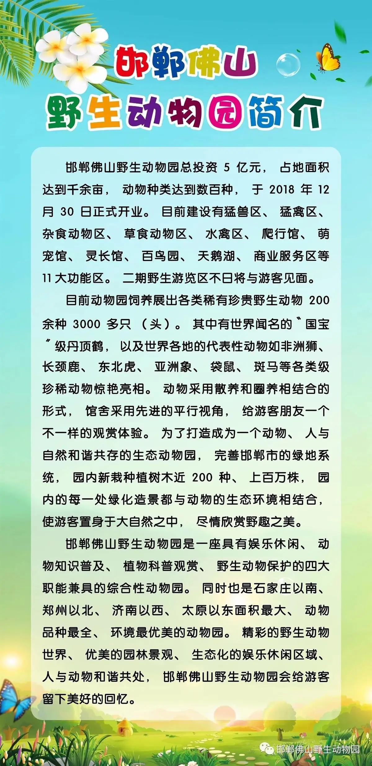 邯郸佛山野生动物园黑熊出逃事件_2026年邯郸动物园搬迁_动物园经营困境与整改措施