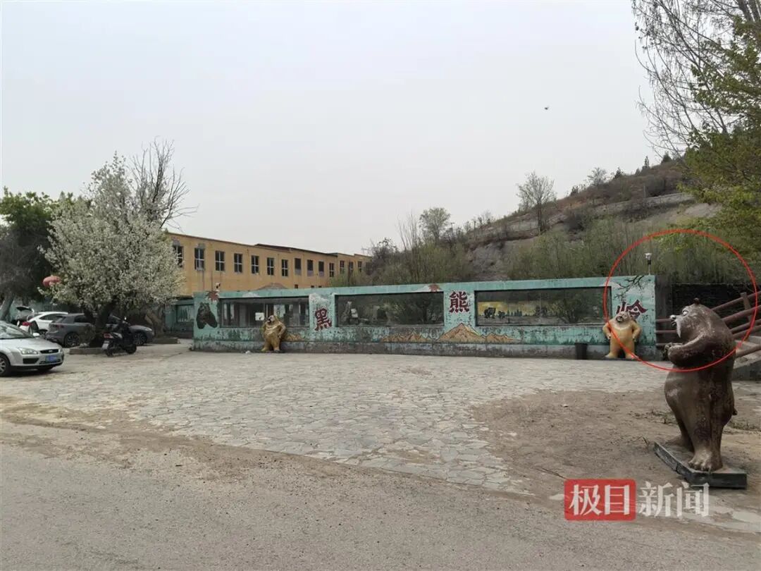 河北邯郸动物园经营困境分析_邯郸佛山野生动物园黑熊出逃事件_2026年邯郸动物园搬迁