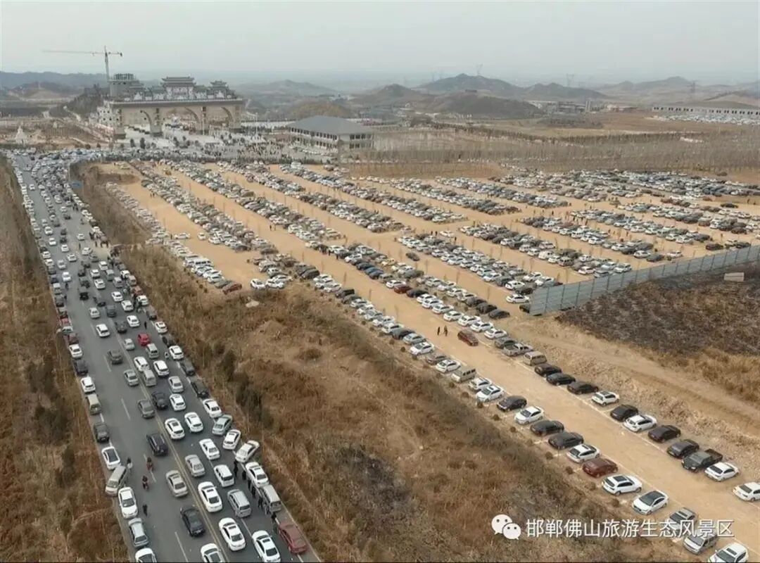 邯郸佛山野生动物园黑熊出逃事件_河北邯郸动物园经营困境分析_2026年邯郸动物园搬迁