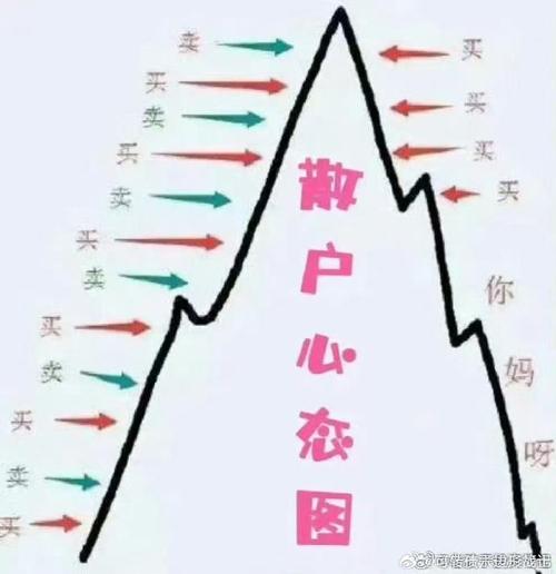 投资者玩股票的意义_散户韭菜魔咒_行为金融学人性偏差