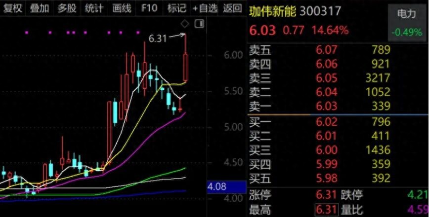 机构看好维生素价格，珈伟新能股价涨停（300317）相关业务介绍