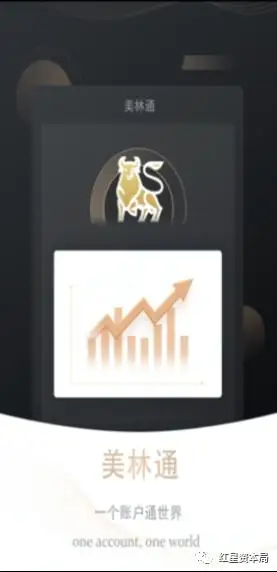 美林通APP骗局_股票打新程序_股票打新骗局
