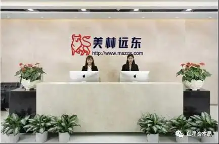 股票打新程序_股票打新骗局_美林通APP骗局