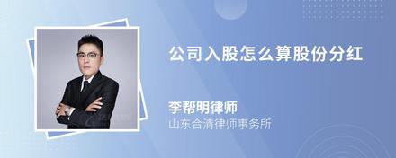 公司入股怎么算股份分红