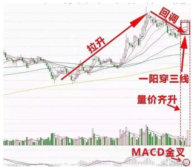 600250南纺股份_南纺股份股票分析_南纺股份主营业务分析