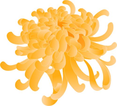 信用卡套现违法吗_刷单跑分赚钱案例_帮助信息网络犯罪活动罪